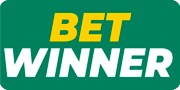 BetWInner Casino logo