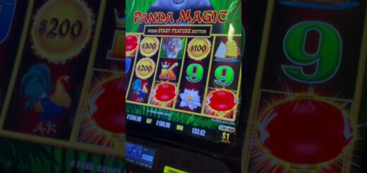 $100 Bet Dragon Link Slot JACKPOT #Shorts