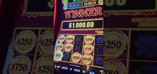 ? $250 Max Bet Dragon Cash Bonus #SHORTS