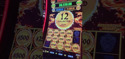 ? $250 Max Bet Dragon Link HANDPAY JACKPOT #SHORTS