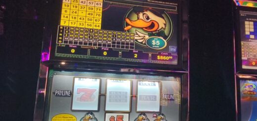 $5 Polar High Roller/Reel Fever/Lucky Ducky VGT Max Bets Big Wins