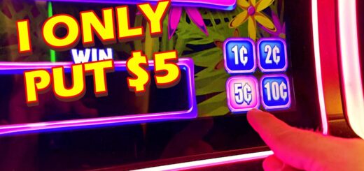 I PUT JUST $5 IN THE SLOT MACHINE