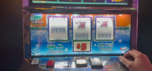 Land Of The Free Spins - Polar High Roller - JACKPOT High Limit Slots @Stacey's High Limit Slots