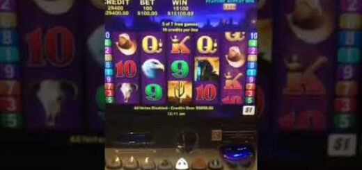 High Roller Wild Stallion Pokie Win! $100 Hits
