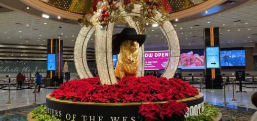 LIVE LAS VEGAS - Raw and Uncut on the Strip