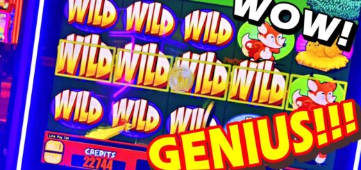SLOT MACHINE DOUBLE MASTER