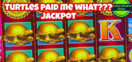 TURTLES PAID ME A JACKPOT/ 88 FORTUNES FREE GAMES/ HIGH LIMIT LIVE SLOT PLAY HUGE JACKPOTS