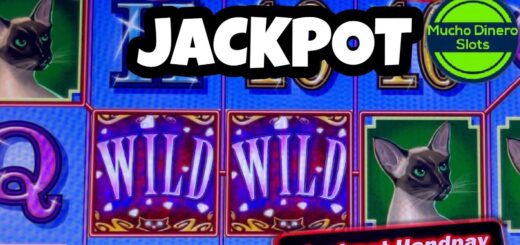 HIGH LIMIT KITTY GLITTER  SLOT ACTION/ HUGE WINS HUGE BETS
