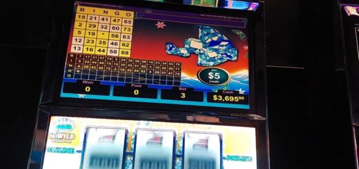 Unbelievable VGT Action Plus Handpay: $5 Polar High Roller