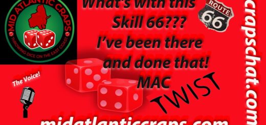 What with the Skill 66?  Been there done that, NO PUN Intended!  Dylan is the man!