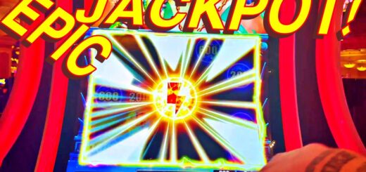 ANIMAL JACKPOT POWER!!!!
