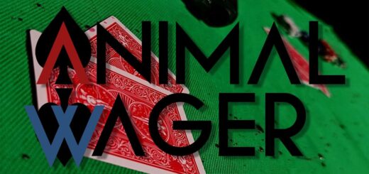 Animal Wager