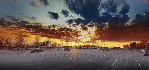 Sunset Boulevard. What a View.