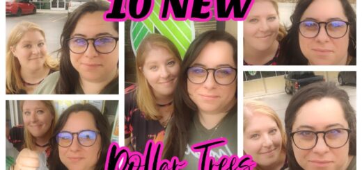 WE shopped 10 NEW Dollar Trees in ONE DAY!