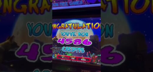 $100 Spin JACKPOT On High Limit Wolf Run Slot #shorts