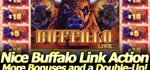 Nice Buffalo Link Action! More Free Games and Hold & Spin Bonuses with a quick Double-Up session!