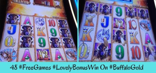 48 Free Games LOVELY BONUS WIN On BUFFALO GOLD Slot Machine - SunFlower Slots