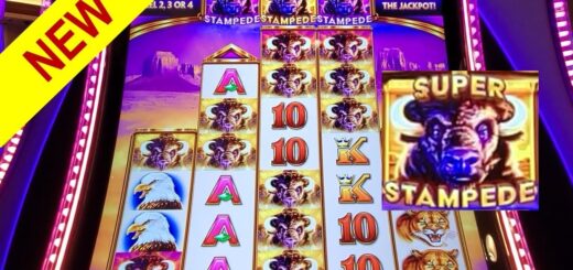 BIG WIN SUPER STAMPEDE Feature | NEW SLOT Buffalo Ascension Slot | Live Slot Play | NEW SLOTS 2022