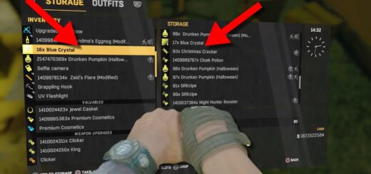 This DUPLICATION Glitch WILL NOT Work Unless You Do This
