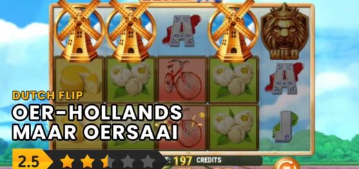 Gokkast Review: Dutch Flip (Play'n Go) - Exclusief te spelen bij Unibet Casino
