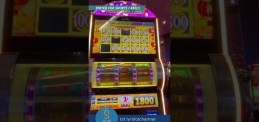 It's a "Just okay" MAX BET BONUS - Make That Cash!  But the combo reels and screen is fun!