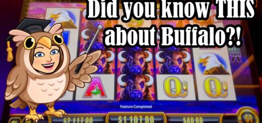 ?Last Spin Save AND New Insight on High Limit Buffalo ?Profit! Plus Me vs. My Progressive ?