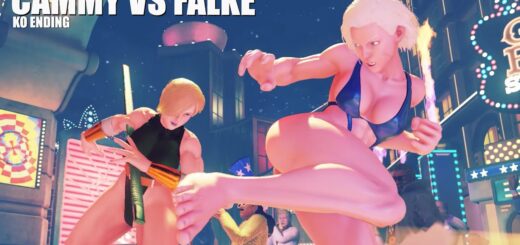 Cammy VS Falke