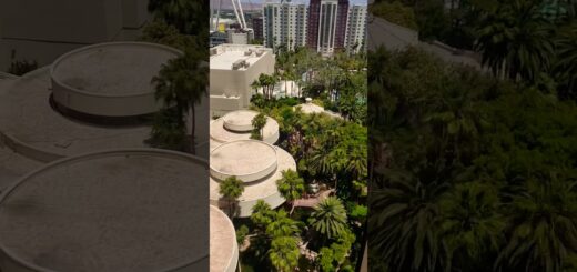 Flamingo Las Vegas Casino Hotel | High Roller Las Vegas