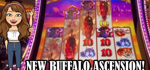 Great Run on NEW Buffalo Ascension at Red Rock!