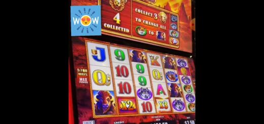 buffalo gold slot machine #shorts