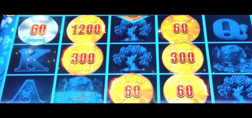 bull rush pokie wins