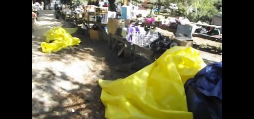 11/22/2022 Open-Air Auction