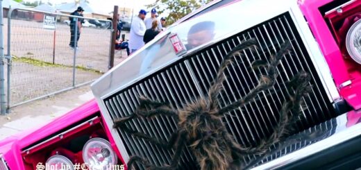 Lowrider Cruise in Bernalillo, New Mexico 2022 #chicano #lowriders #lowrider #lowriderculture #raza