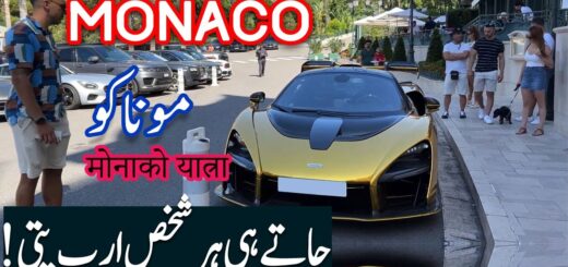 VISITING THE COUNTRY OF ONLY BILLIONAIRES!  Super Cars,Fancy  Yachts & Casino of MONACO! Spider Tv