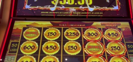 Dragon Link - Bonus in a Bonus ??