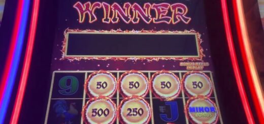 Dragon Link won $250 MINOR??