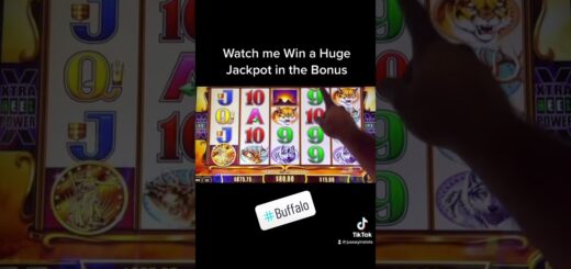 Watch Me Win a Huge Jackpot in the Bonus #shorts #casino #tiktok #jackpot