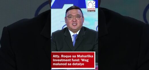 Atty. Roque sa Maharlika Investment fund: 'Wag malunod sa detalye