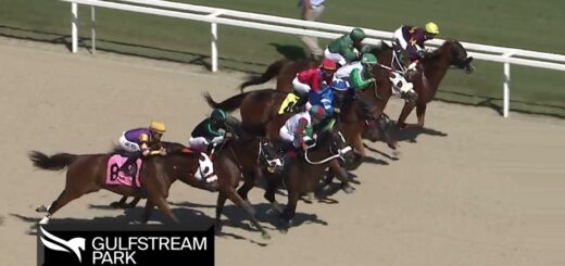 Gulfstream Park Replay Show | February 22, 2023
