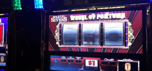 I tried the VIP high rollers slots and got a bonus ?