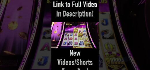 It's Buffalo Bonus Time #shorts