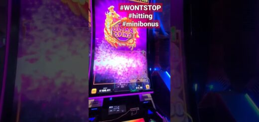More Mini Bonus #casino #slots #landcruise #cruise #slots