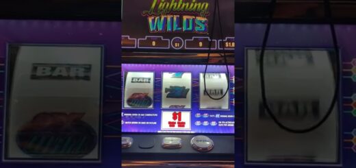 Polar High Roller Lightning ⚡Wilds machine! ?? $100 in $1000 out ?? #redscreen #slots