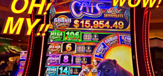 THE NEW CATS SLOT MACHINE