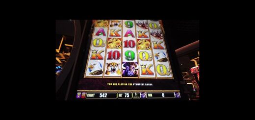 Unbelievable Super Charged BONUS on Buffalo Stampede #shorts