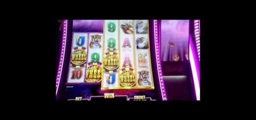 Wheel BONUSES Gives Big Payback on Wild Wild Buffalo #shorts