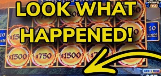 $2,500 BETS WHAT COULD GO WRONG?