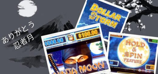 Dollar Storm Ninja Moon