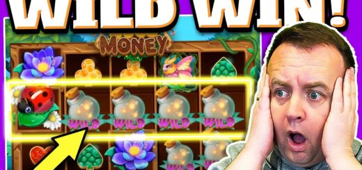 WILD WIN On Bugs Money