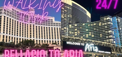 Walking tour | Bellagio to Aria using the Tram